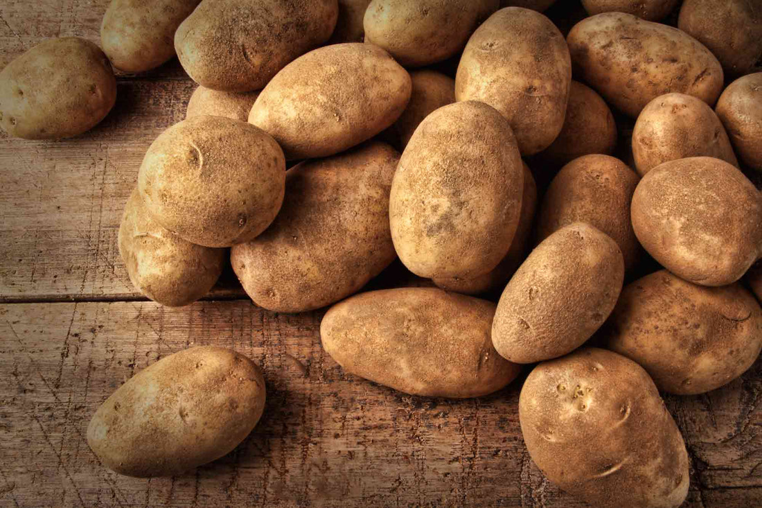 A Potato Lover's Dream: The Best Potato Recipes to Make with Grandma Ann's Electric Grater