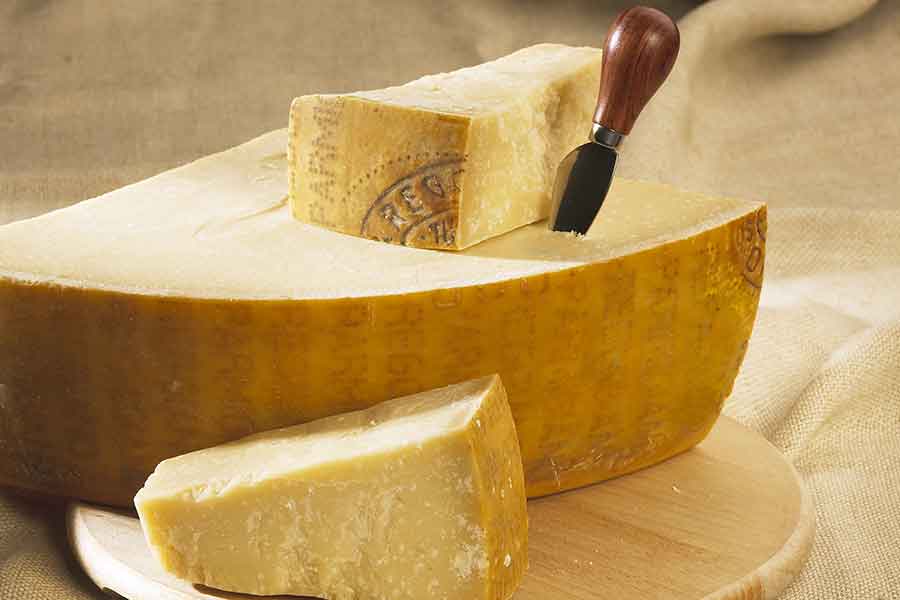 Grate Hard Cheeses the Easy Way: Grandma Ann's New Fine Cheese Blade –  Grandma Ann's Electric Grater