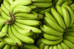 Fresh green bananas used in traditional Puerto Rican pasteles masa