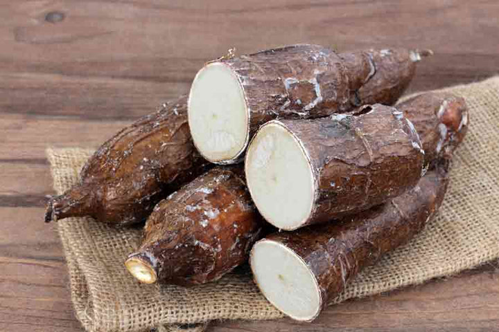 Cassava
